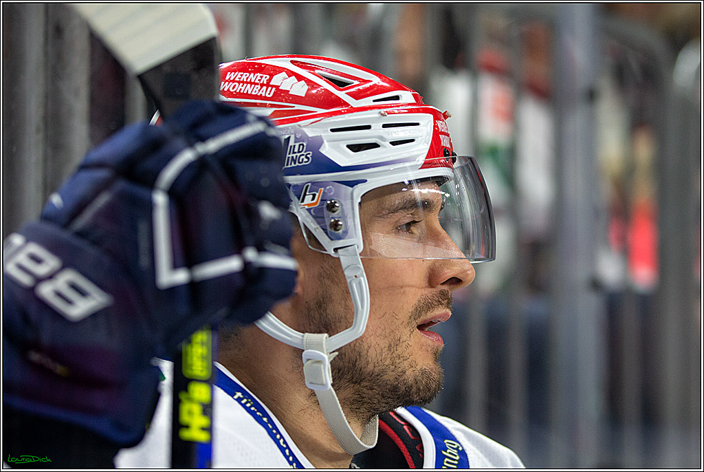 PENNY DEL; Koelner Haie- Schwenninger Wild Wings; Koeln, 06.12.2022